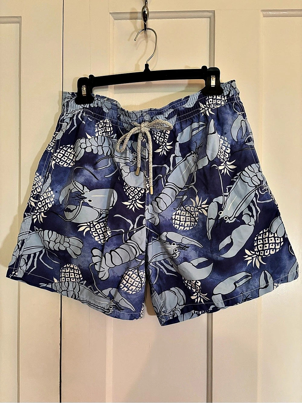 Vilebrequin Moorea Swim Trunks Blue & White Men's Large
